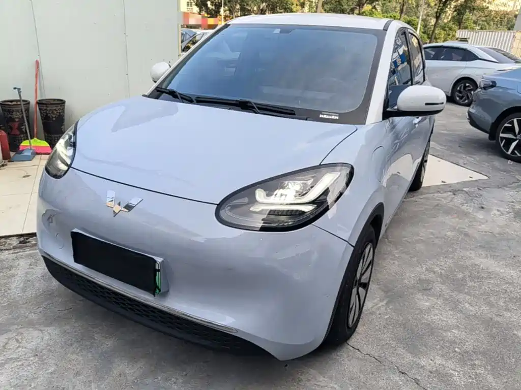 Wuling Binguo