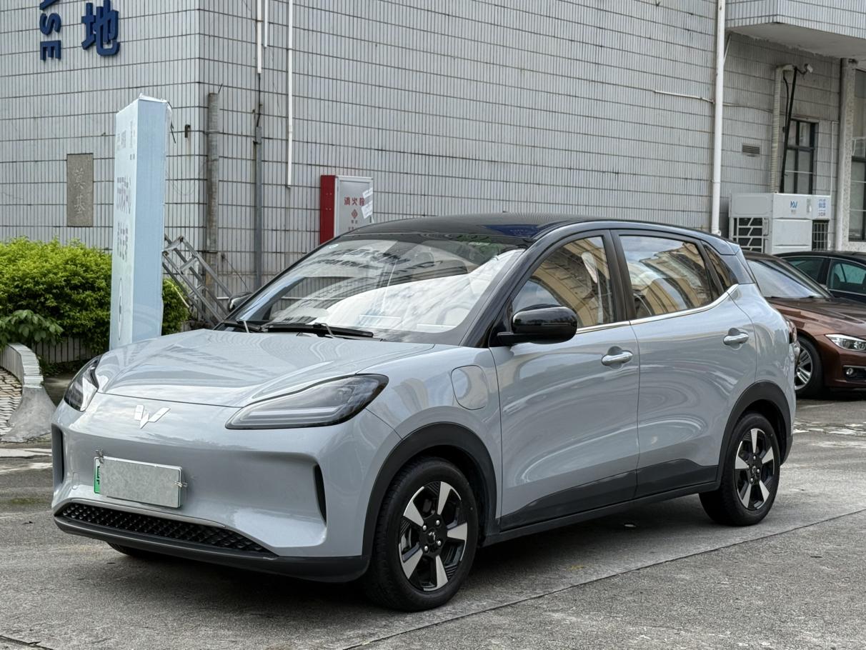 Wuling BinguoPLUS