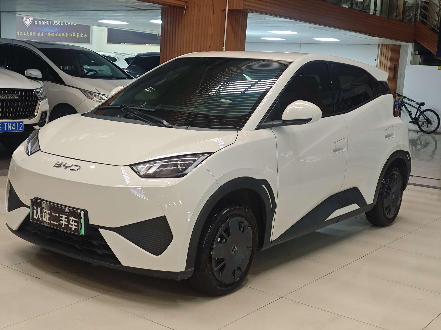 BYD Seagull