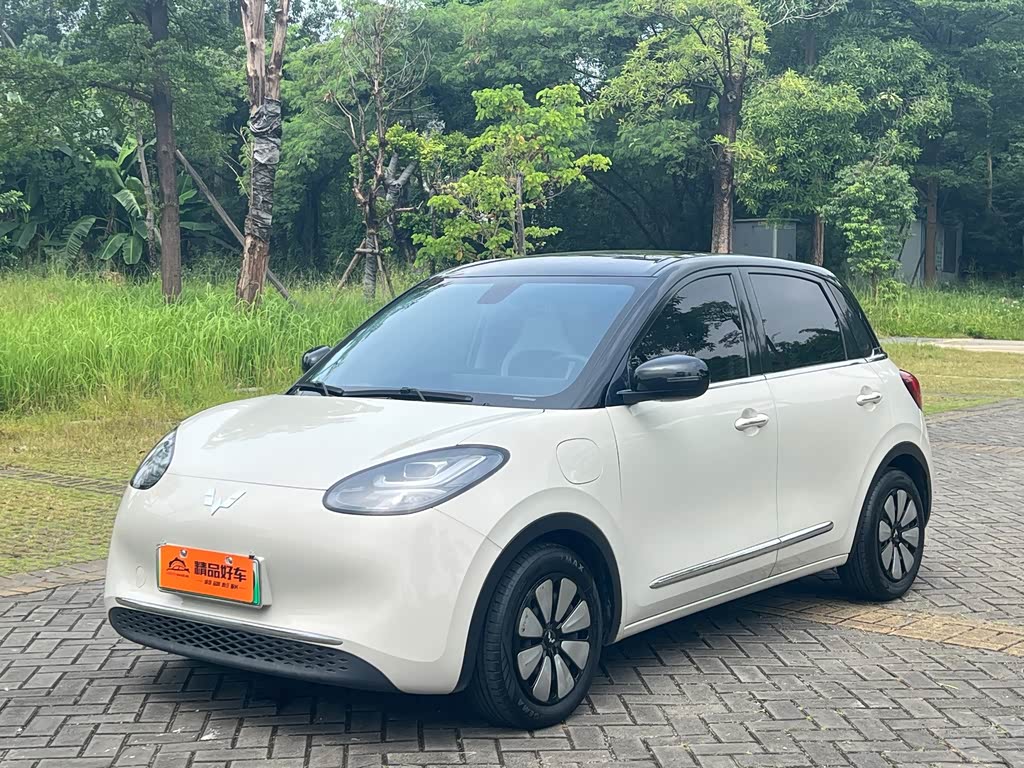 Wuling Binguo