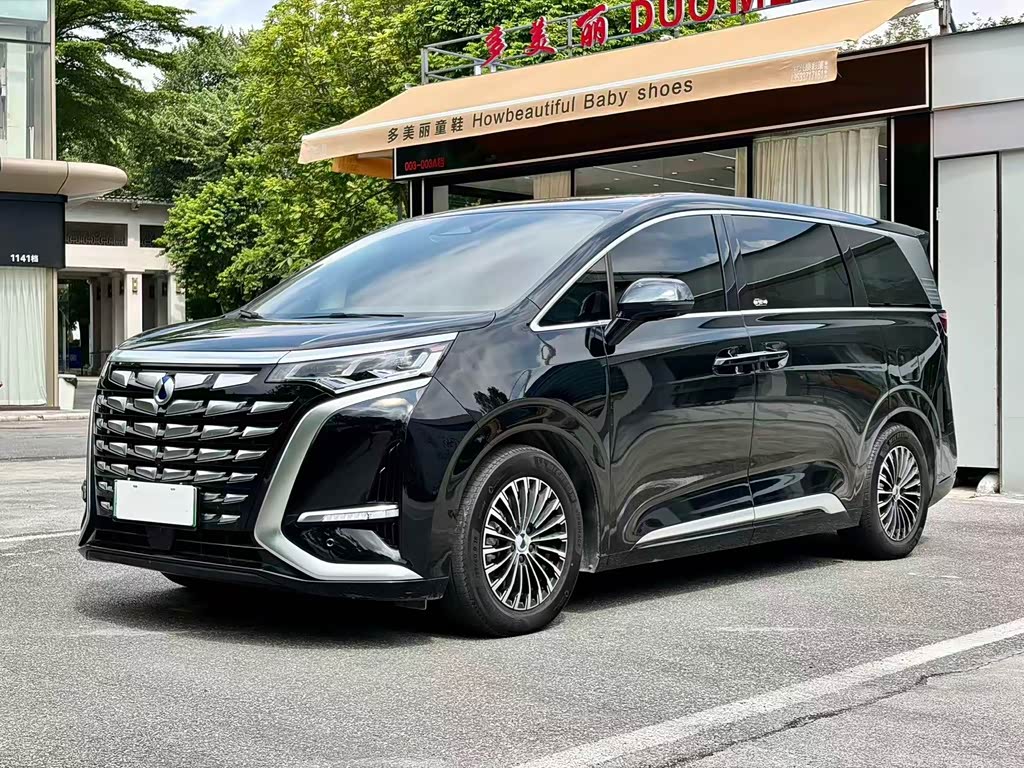 Denza D9