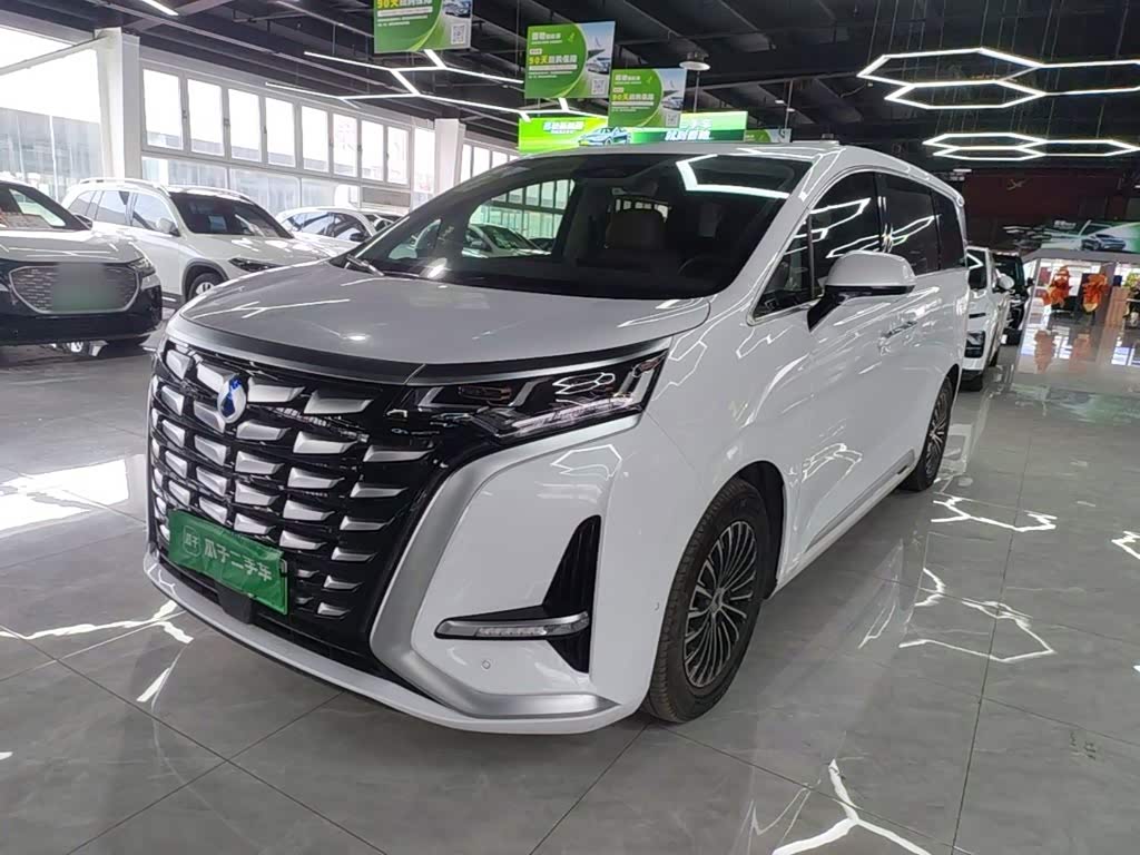 Denza D9