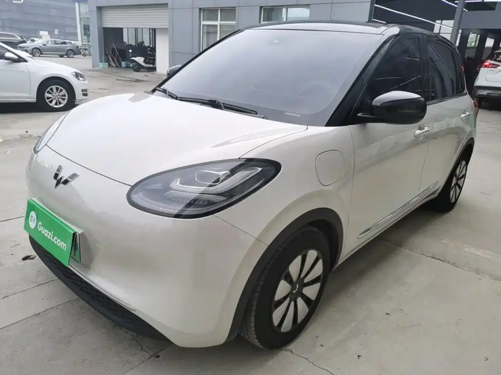 Wuling Binguo