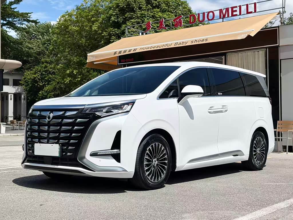 Denza D9