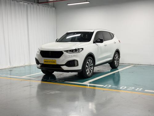 Wey VV6