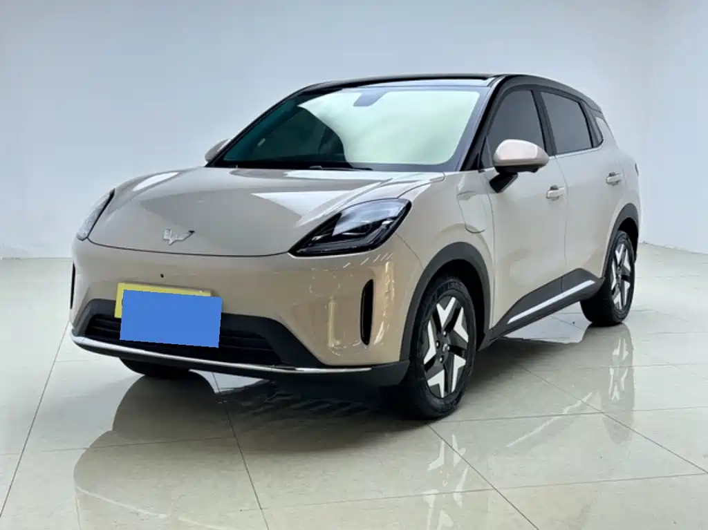 Wuling BinguoS