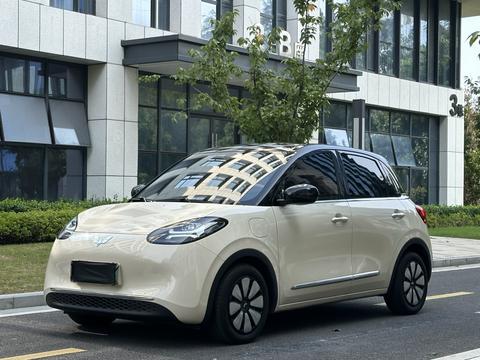 Wuling Binguo
