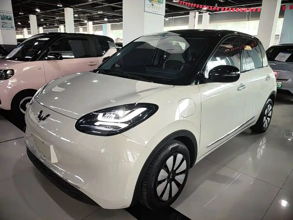 Wuling Binguo
