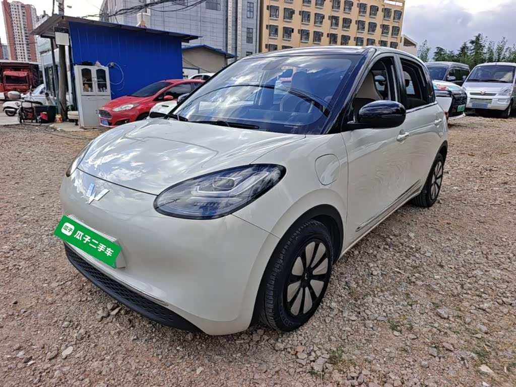 Wuling Binguo