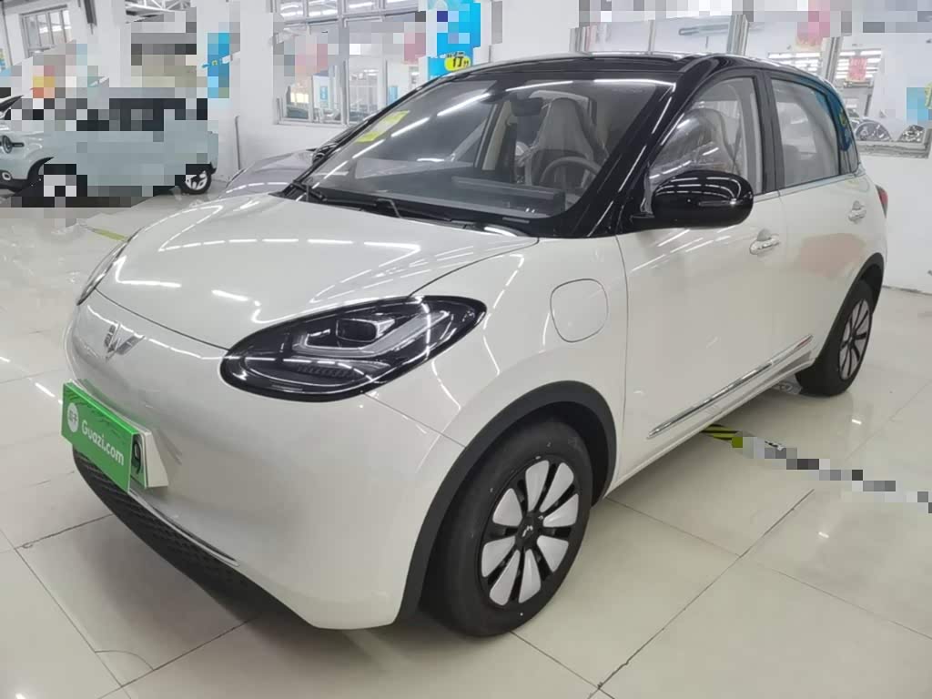 Wuling Binguo