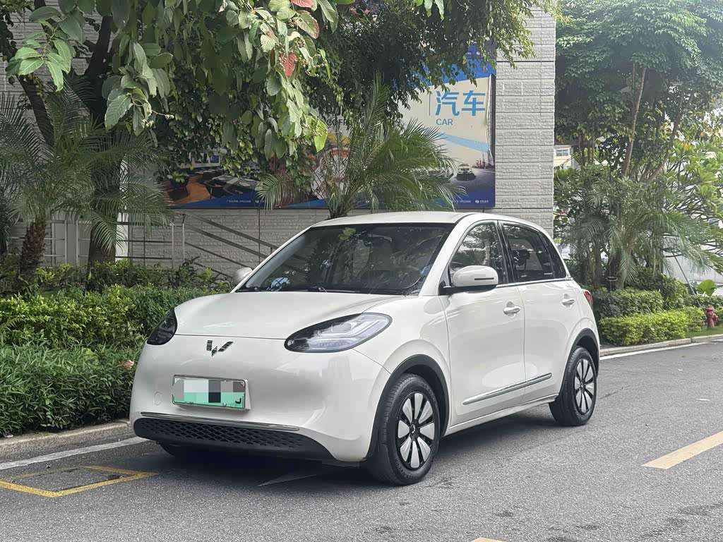 Wuling Binguo