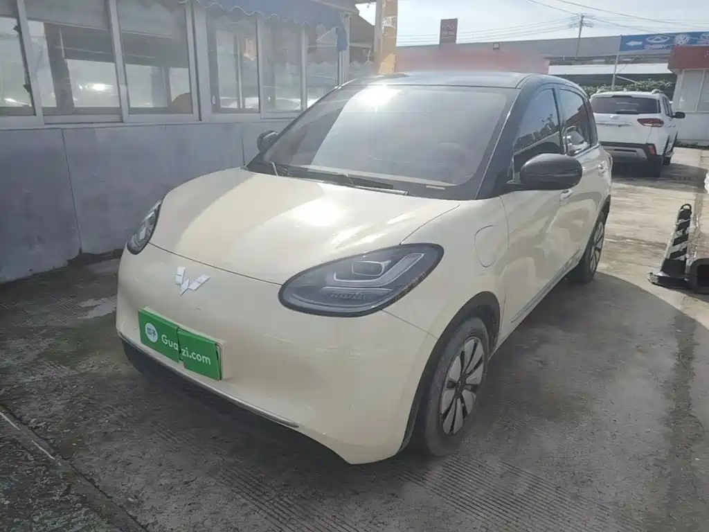 Wuling Binguo