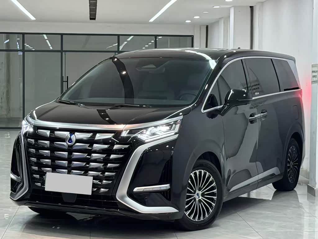 Denza D9