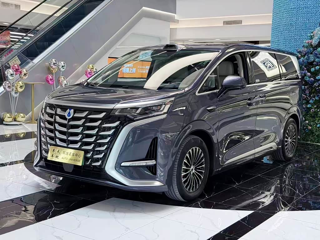 Denza D9