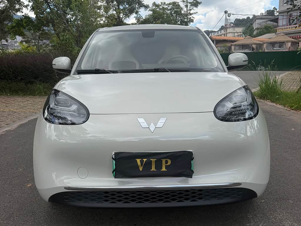 Wuling Binguo