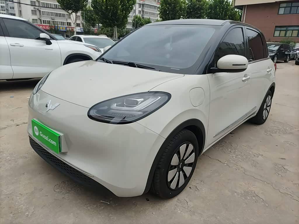 Wuling Binguo