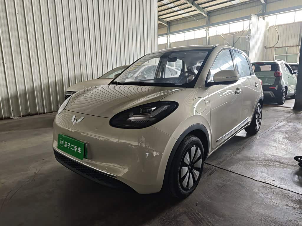 Wuling Binguo