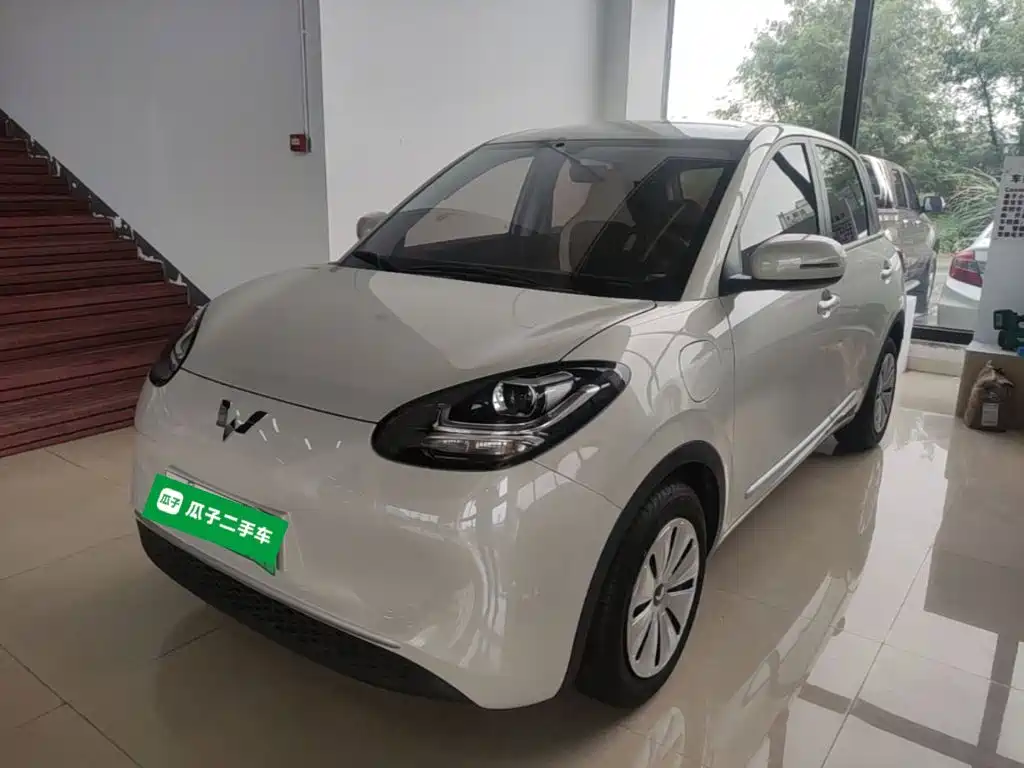 Wuling Binguo