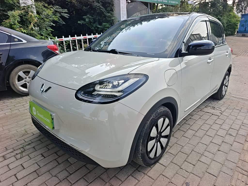 Wuling Binguo