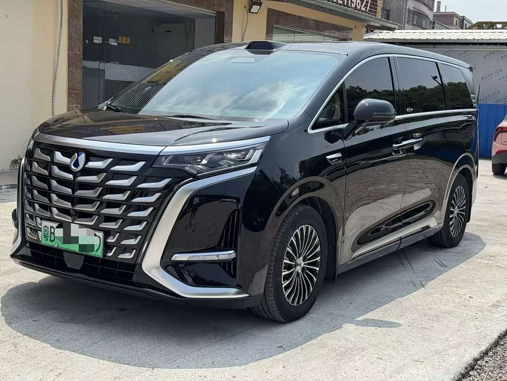 Denza D9