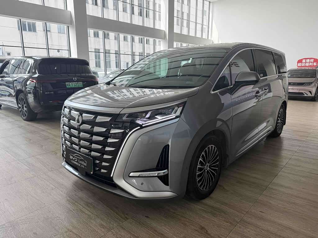 Denza D9
