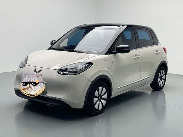 Wuling Binguo