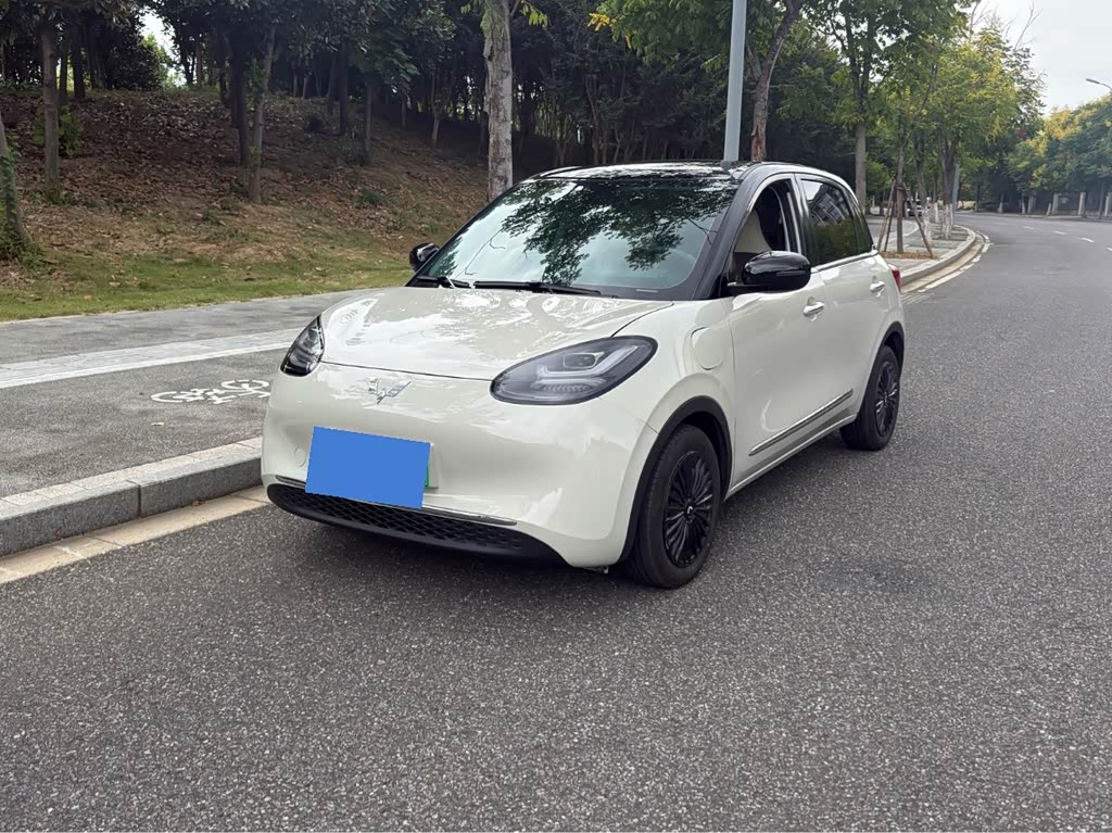 Wuling Binguo