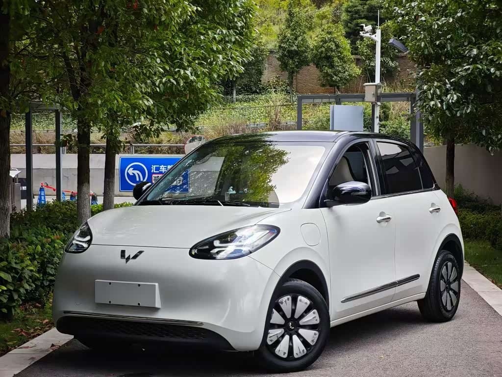 Wuling Binguo