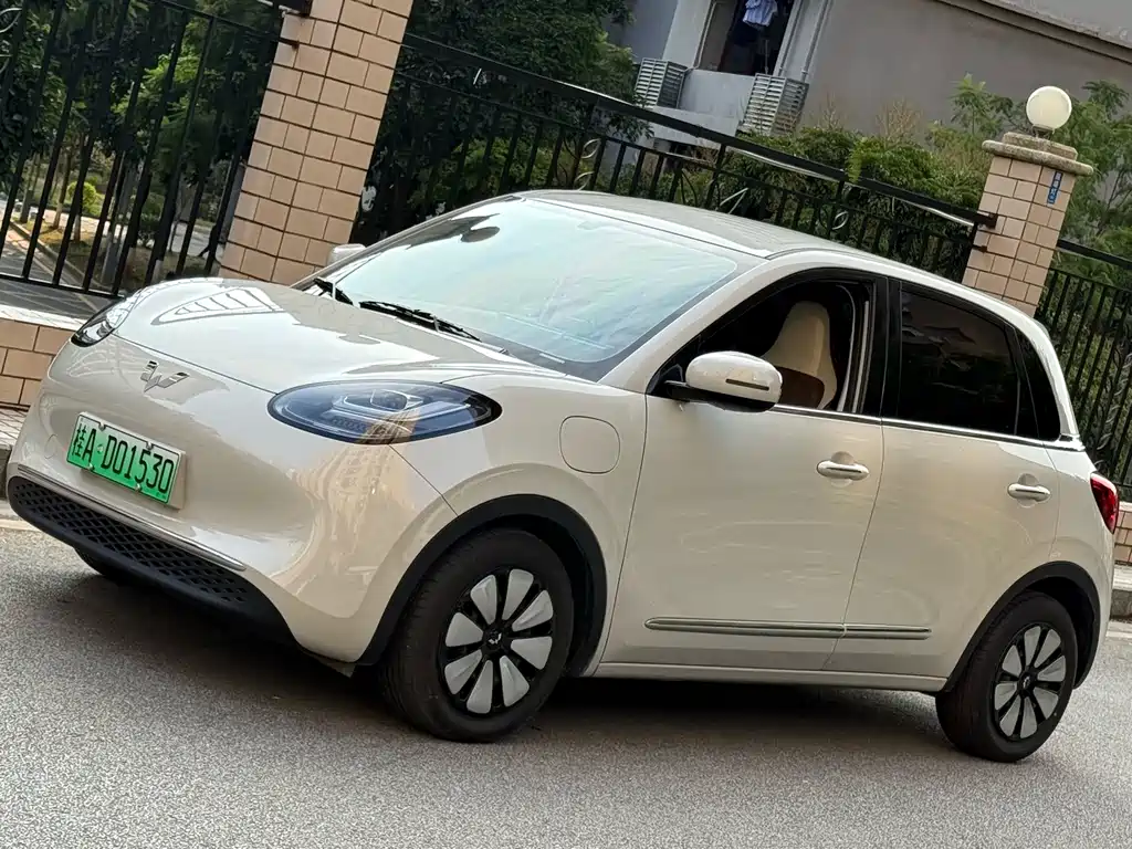 Wuling Binguo