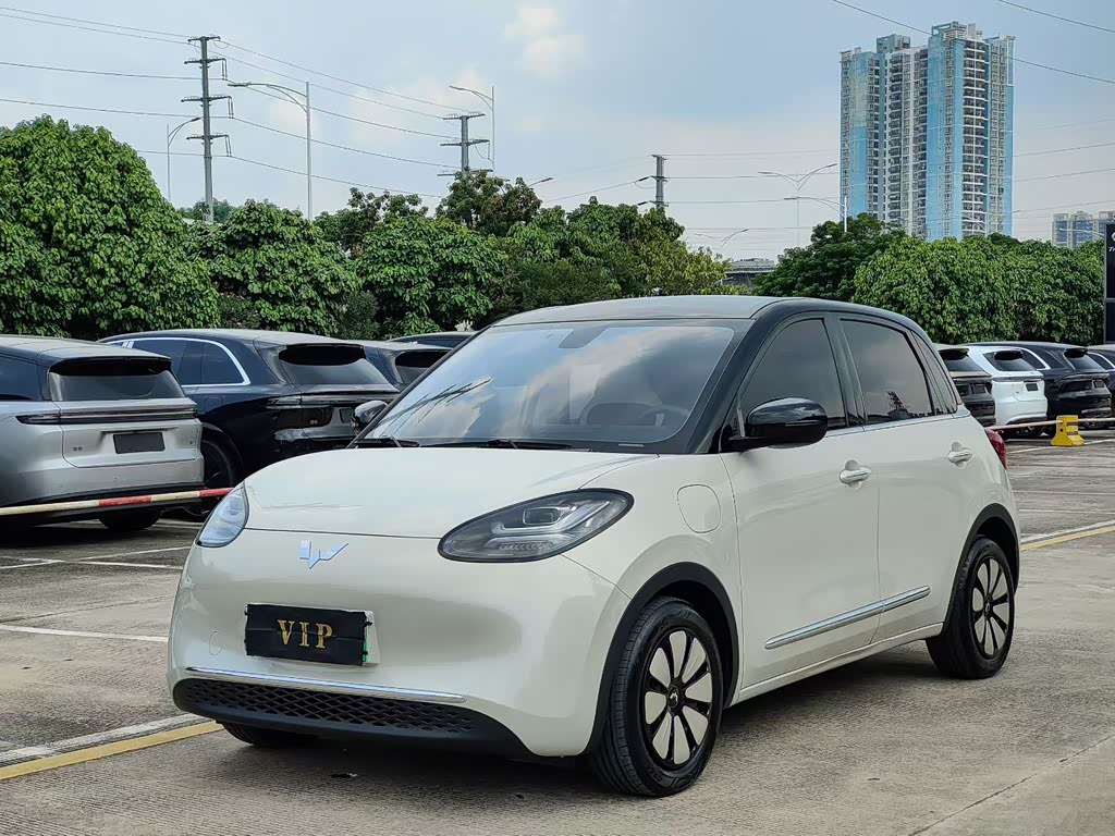 Wuling Binguo