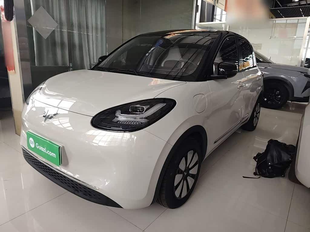 Wuling Binguo
