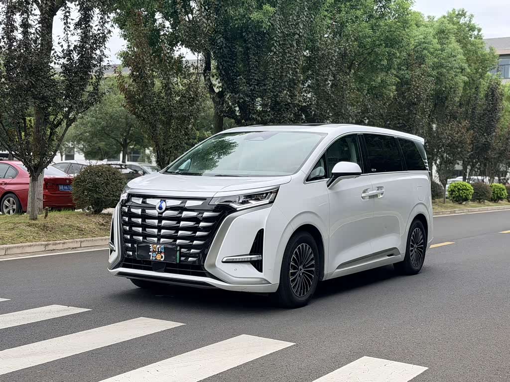 Denza D9