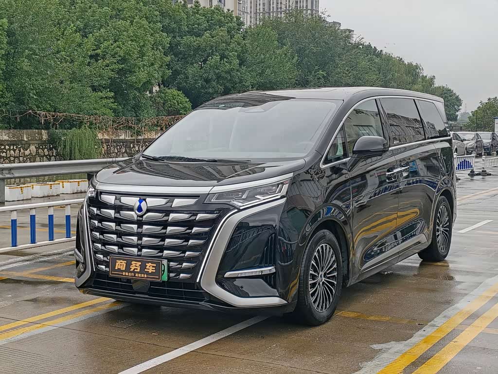 Denza D9