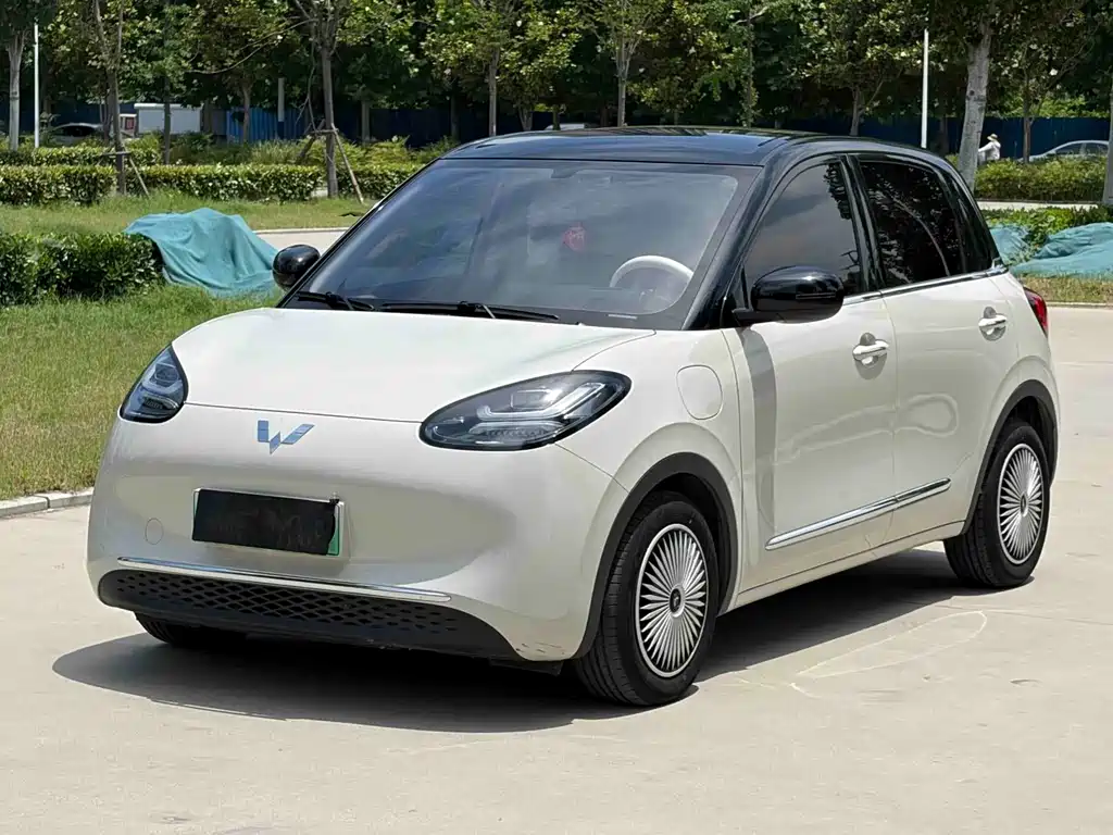 Wuling Binguo