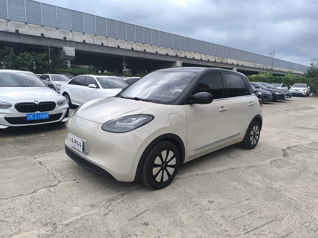 Wuling Binguo