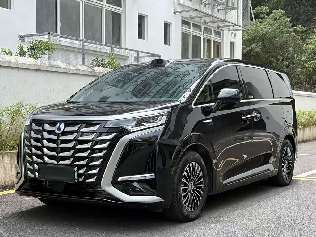Denza D9
