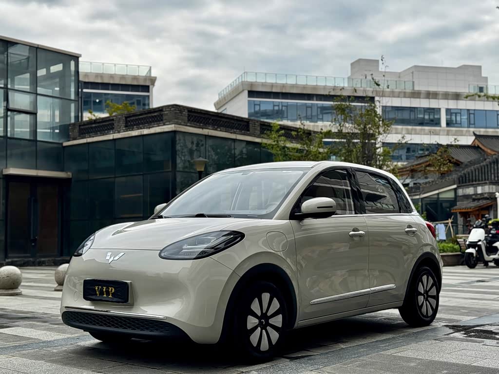 Wuling Binguo
