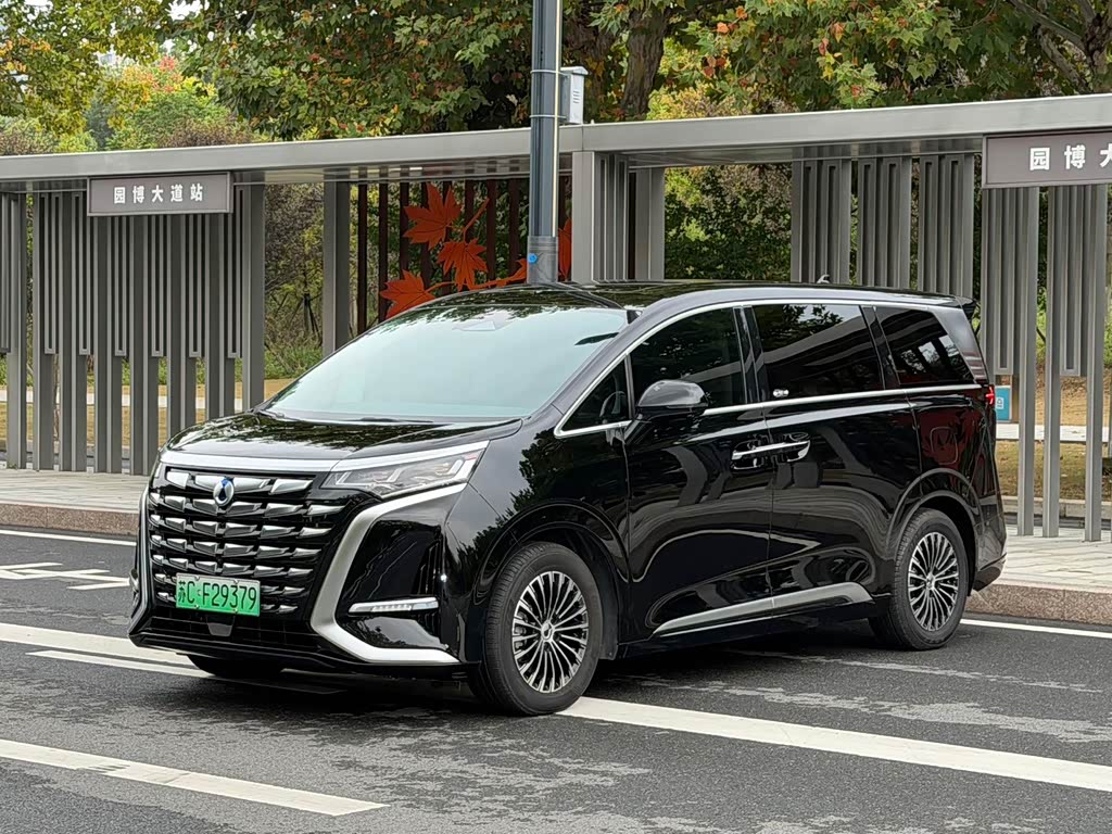 Denza D9