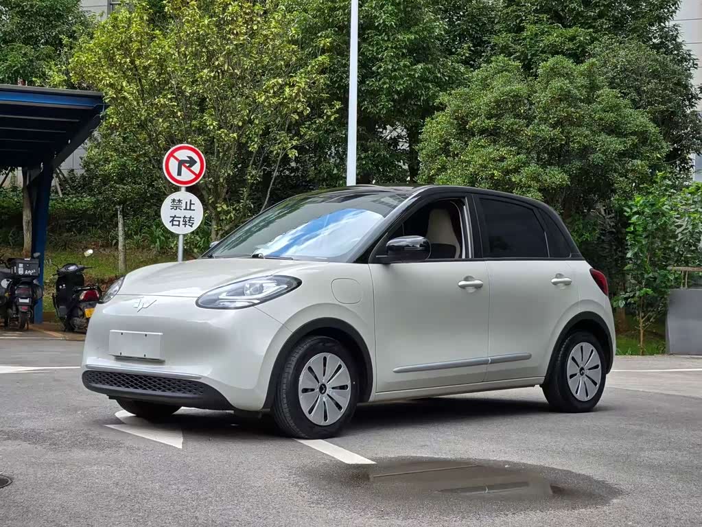 Wuling Binguo