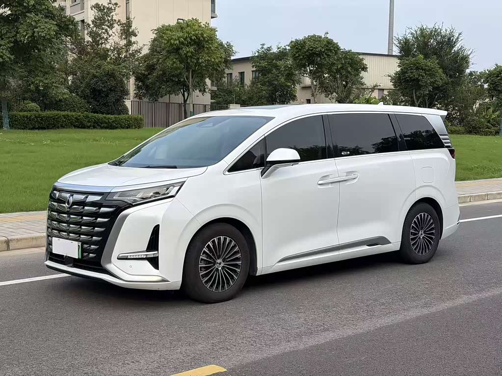 Denza D9