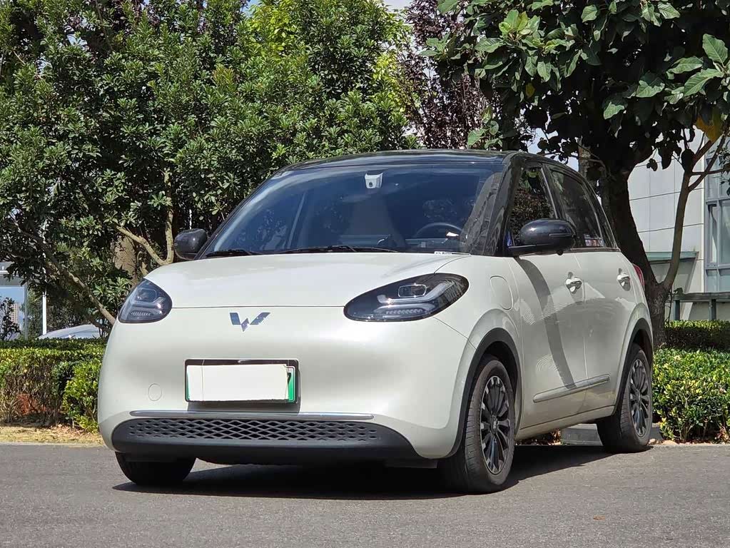 Wuling Binguo
