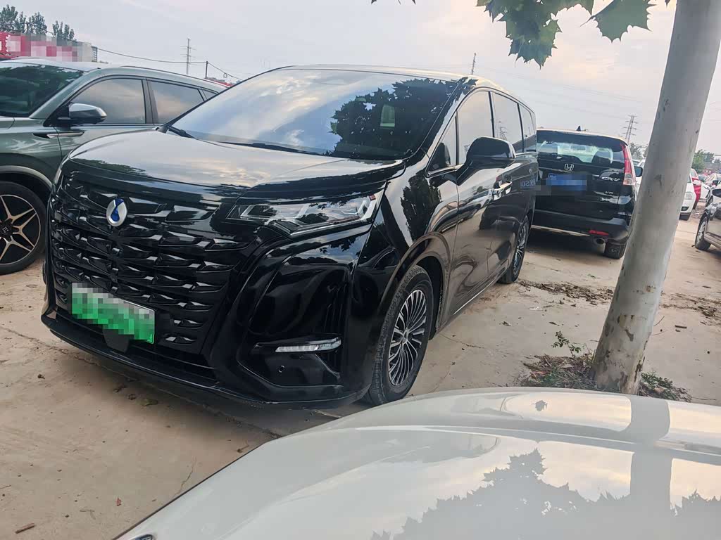 Denza D9