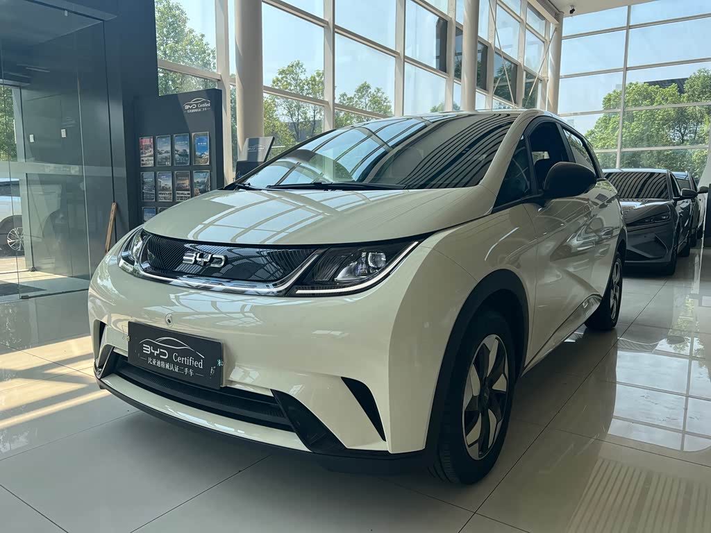 BYD Dolphin