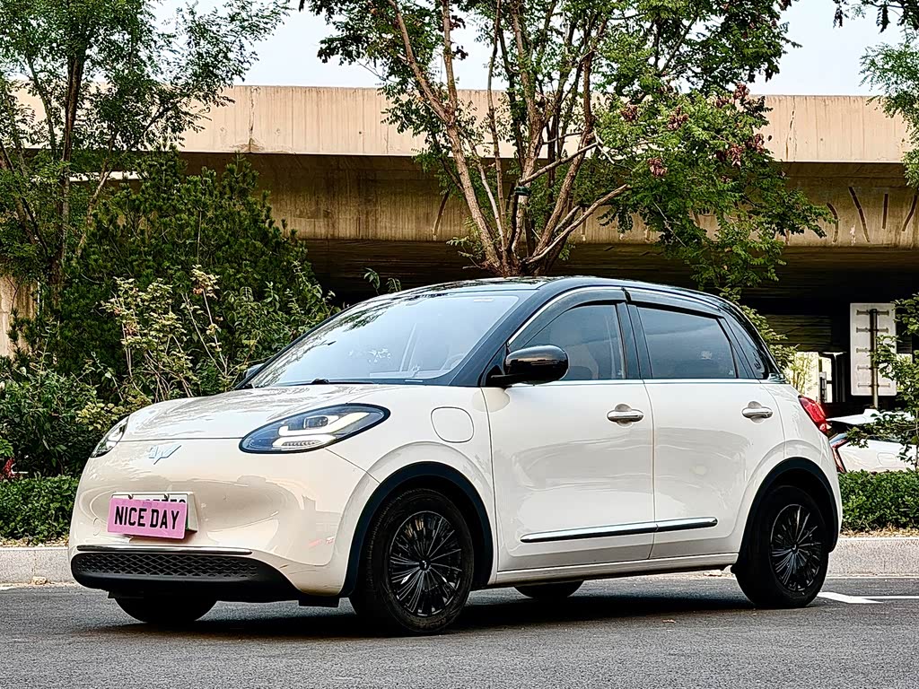 Wuling Binguo