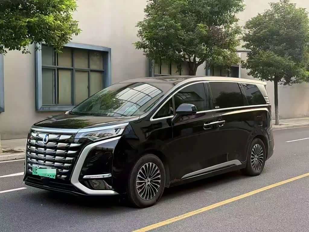 Denza D9