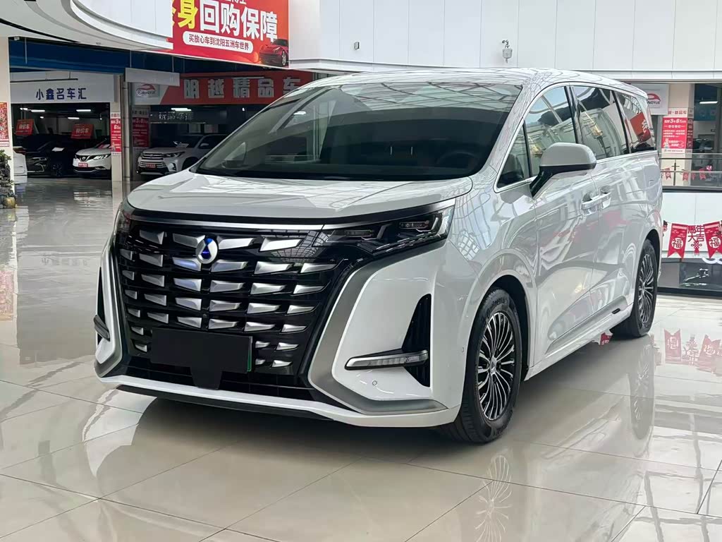 Denza D9