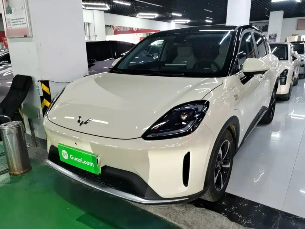 Wuling BinguoS