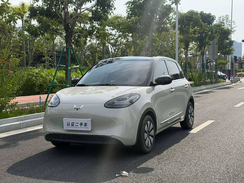 Wuling Binguo