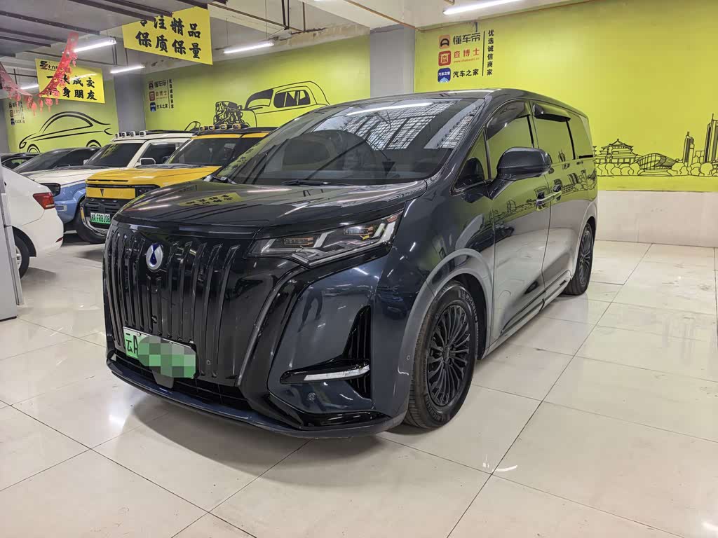 Denza D9