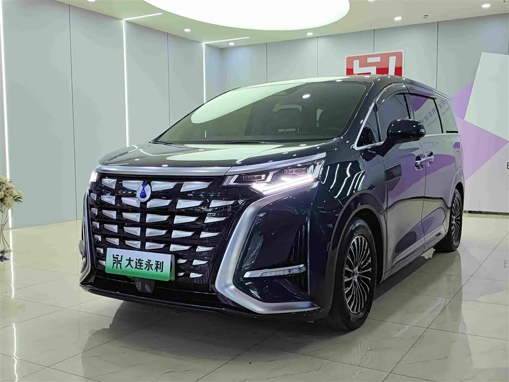 Denza D9